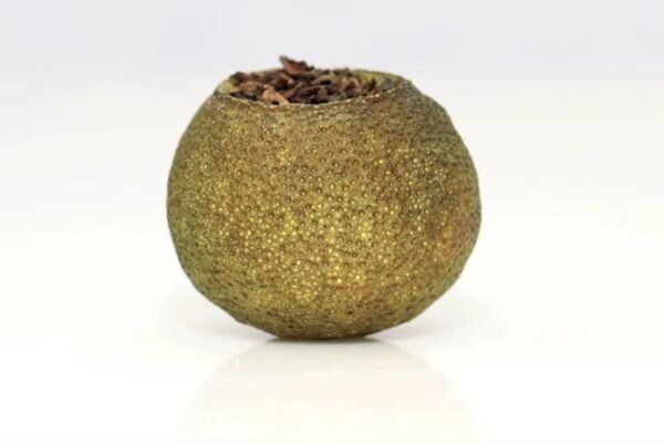 LITTLE CITRUS PU'ER TEA 12 PCS - Image 7